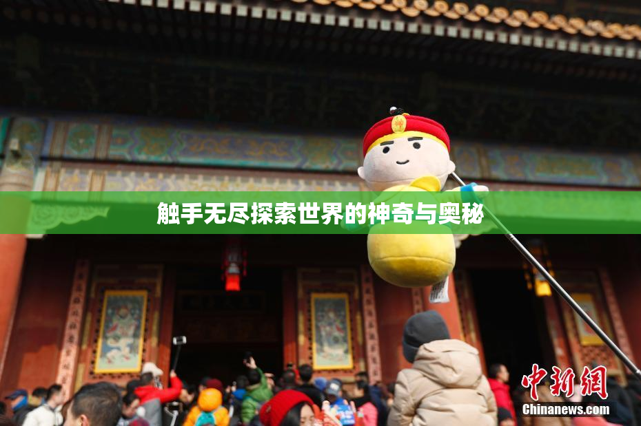 触手无尽探索世界的神奇与奥秘