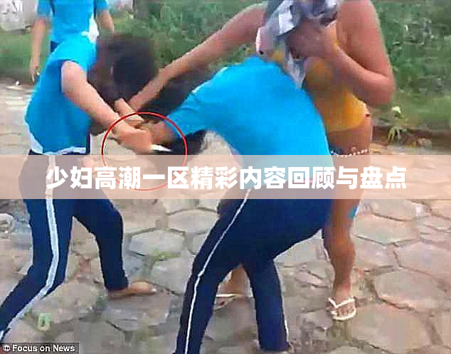 少妇高潮一区精彩内容回顾与盘点