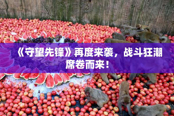 《守望先锋》再度来袭，战斗狂潮席卷而来！