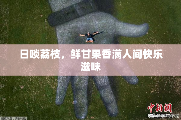 日啖荔枝，鲜甘果香满人间快乐滋味