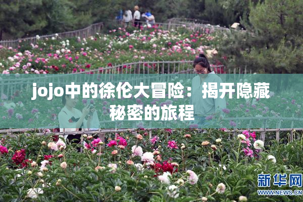 jojo中的徐伦大冒险：揭开隐藏秘密的旅程