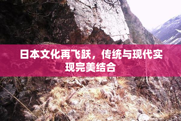 日本文化再飞跃，传统与现代实现完美结合