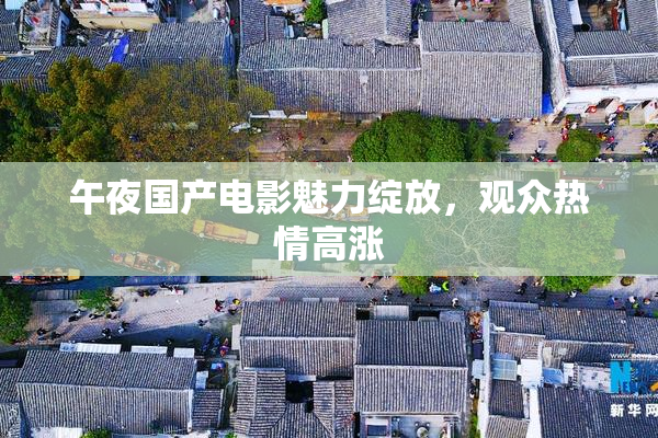 午夜国产电影魅力绽放，观众热情高涨