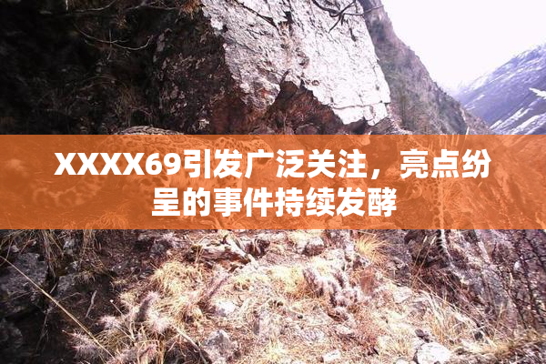 XXXX69引发广泛关注，亮点纷呈的事件持续发酵