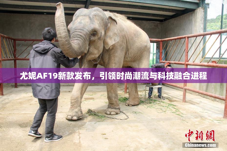 尤妮AF19新款发布，引领时尚潮流与科技融合进程