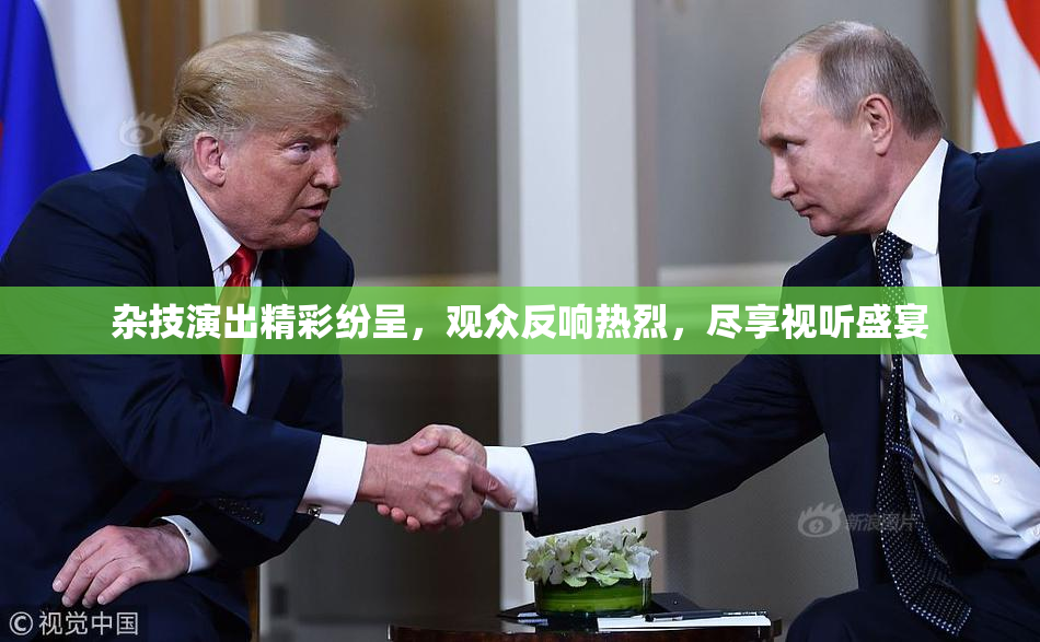 杂技演出精彩纷呈，观众反响热烈，尽享视听盛宴