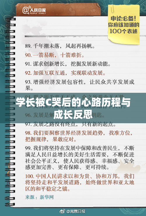 学长被C哭后的心路历程与成长反思