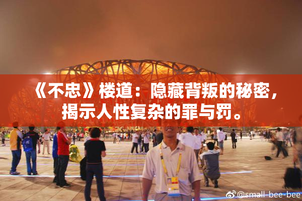 《不忠》楼道：隐藏背叛的秘密，揭示人性复杂的罪与罚。