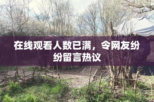 在线观看人数已满，令网友纷纷留言热议