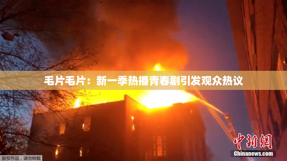 毛片毛片：新一季热播青春剧引发观众热议