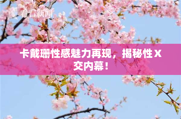 卡戴珊性感魅力再现，揭秘性Ⅹ交内幕！