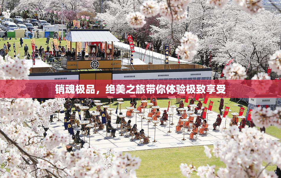 销魂极品，绝美之旅带你体验极致享受