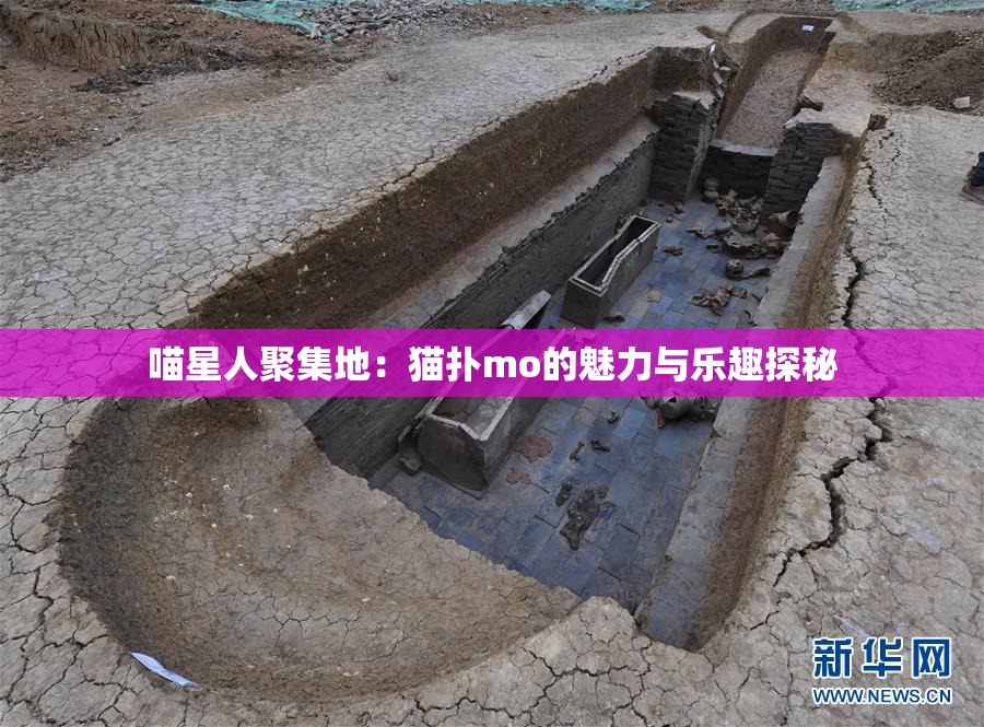 喵星人聚集地：猫扑mo的魅力与乐趣探秘