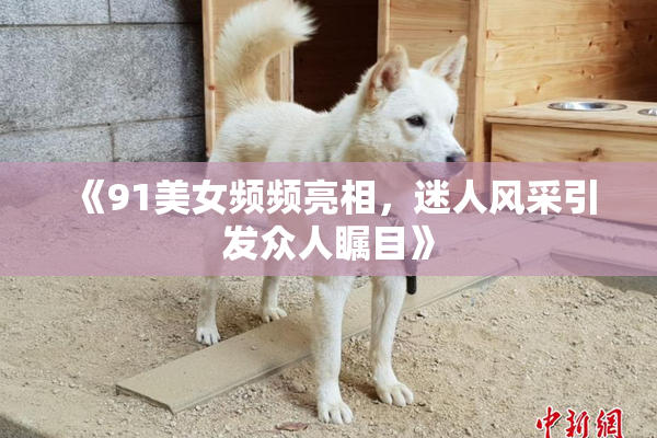 《91美女频频亮相，迷人风采引发众人瞩目》