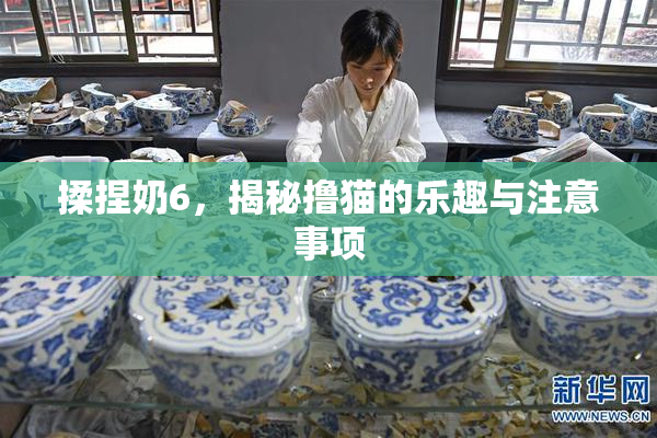 揉捏奶6，揭秘撸猫的乐趣与注意事项