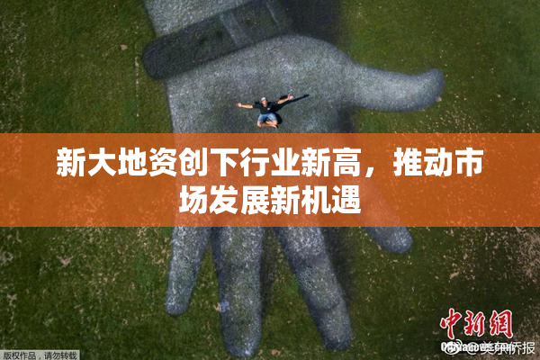 新大地资创下行业新高，推动市场发展新机遇