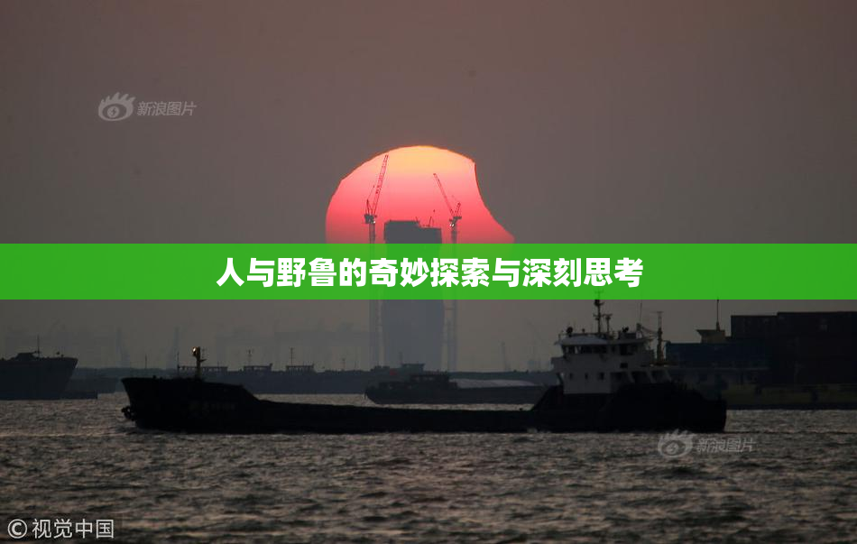 人与野鲁的奇妙探索与深刻思考