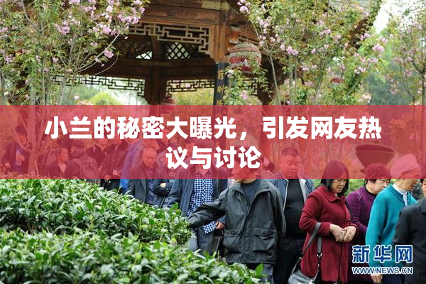 小兰的秘密大曝光，引发网友热议与讨论