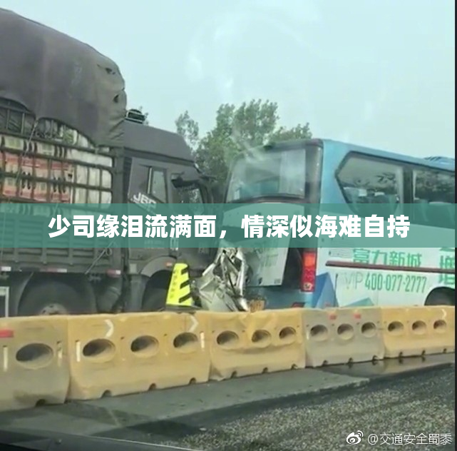 少司缘泪流满面，情深似海难自持
