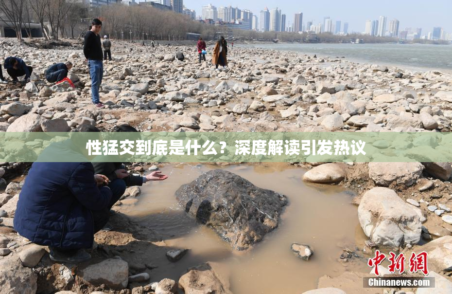 性猛交到底是什么？深度解读引发热议