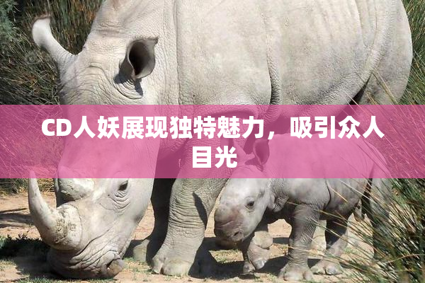 CD人妖展现独特魅力，吸引众人目光
