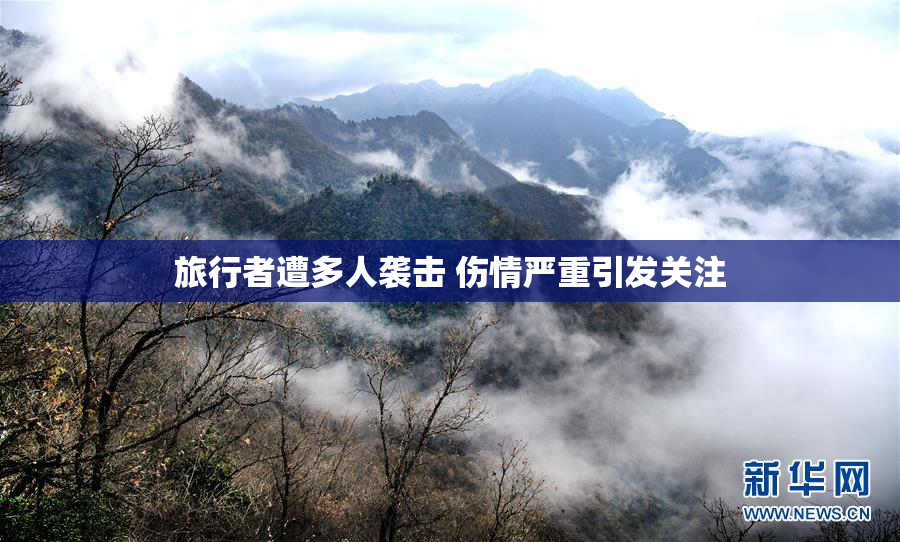 旅行者遭多人袭击 伤情严重引发关注