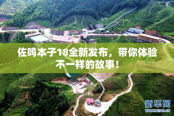 佐鸣本子18全新发布，带你体验不一样的故事！