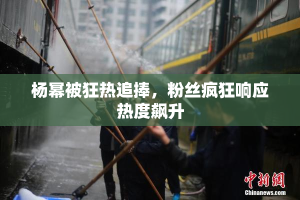 杨幂被狂热追捧，粉丝疯狂响应热度飙升
