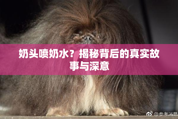 奶头喷奶水？揭秘背后的真实故事与深意