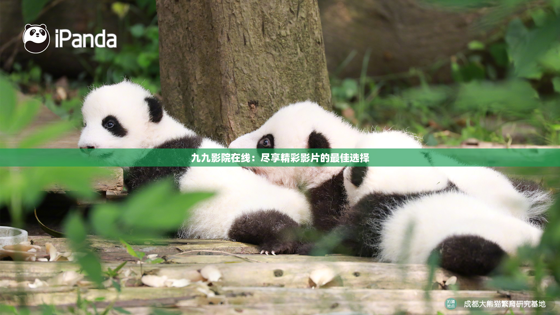 九九影院在线：尽享精彩影片的最佳选择