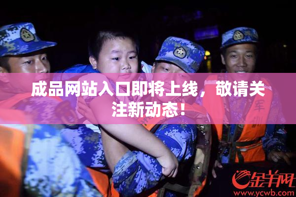 成品网站入口即将上线，敬请关注新动态！