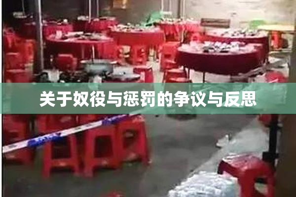 关于奴役与惩罚的争议与反思