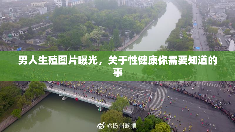 男人生殖图片曝光，关于性健康你需要知道的事