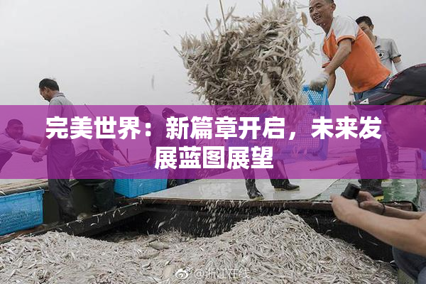 完美世界：新篇章开启，未来发展蓝图展望
