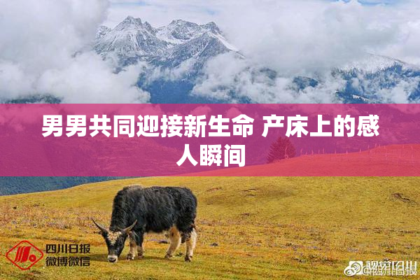 男男共同迎接新生命 产床上的感人瞬间