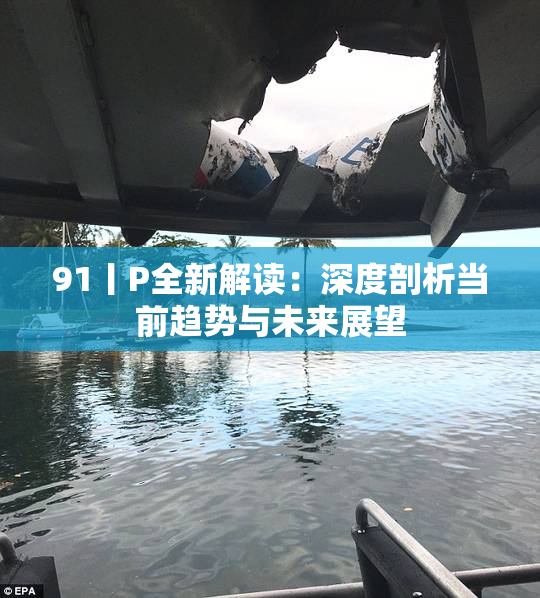 91丨P全新解读：深度剖析当前趋势与未来展望