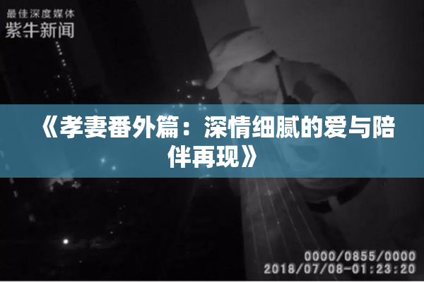《孝妻番外篇：深情细腻的爱与陪伴再现》