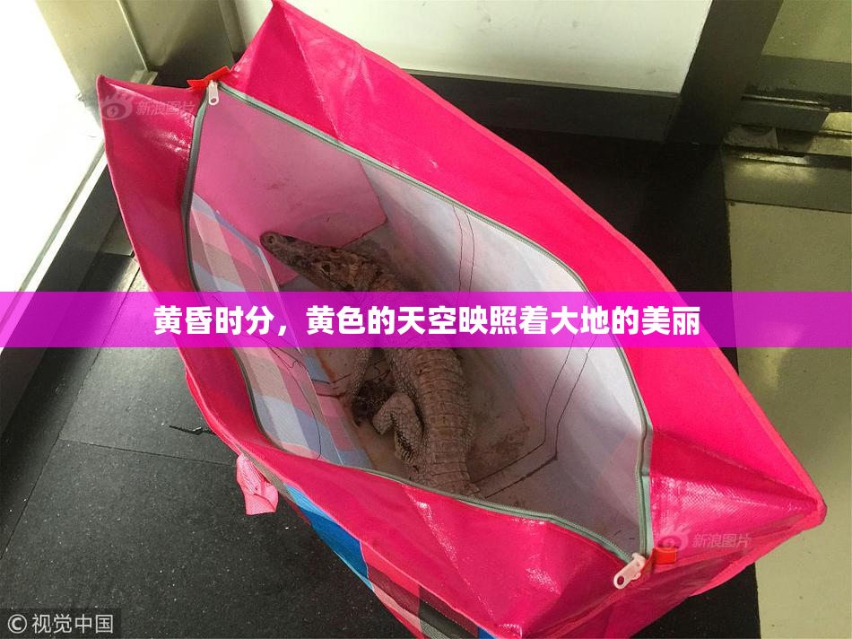 黄昏时分，黄色的天空映照着大地的美丽