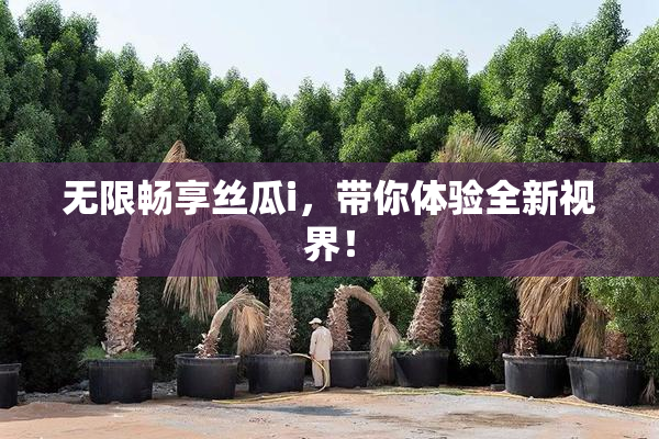 无限畅享丝瓜i，带你体验全新视界！