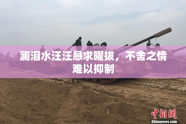 澜泪水汪汪恳求曜拔，不舍之情难以抑制