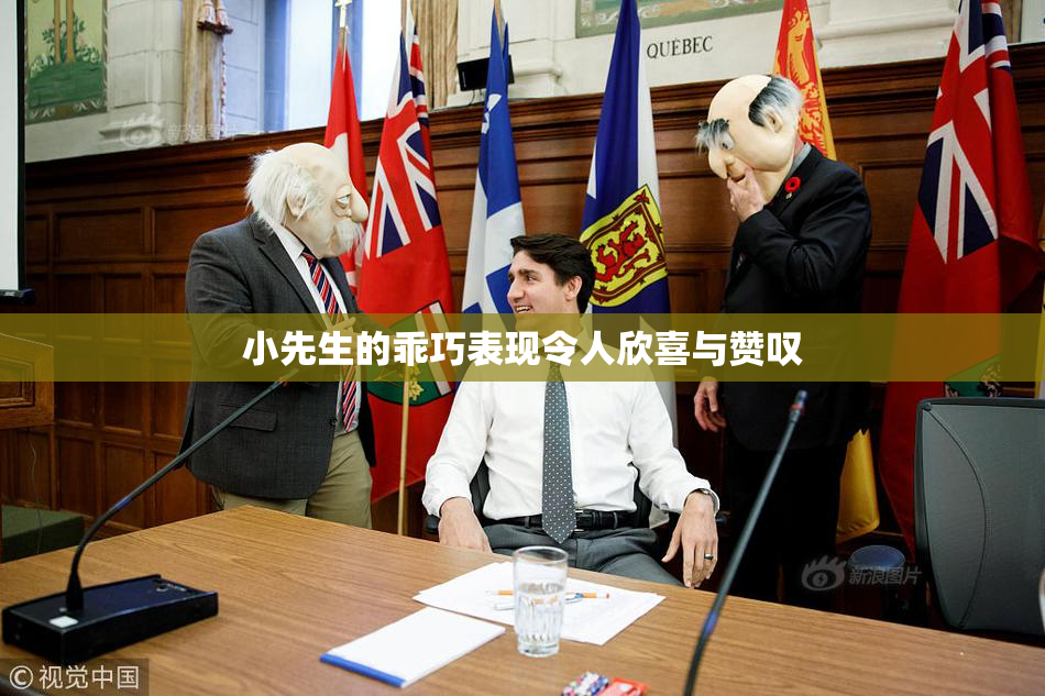 小先生的乖巧表现令人欣喜与赞叹