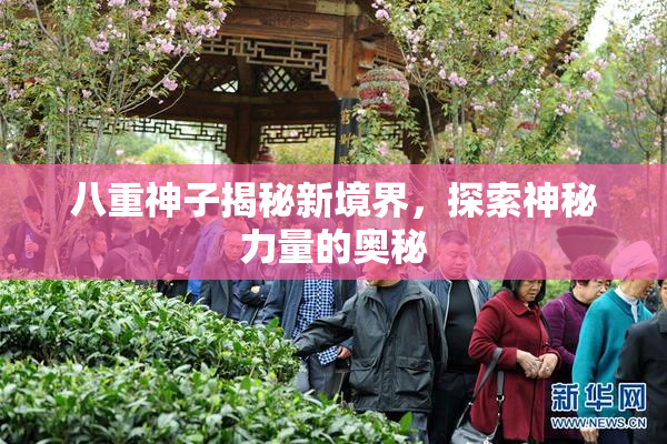 八重神子揭秘新境界，探索神秘力量的奥秘