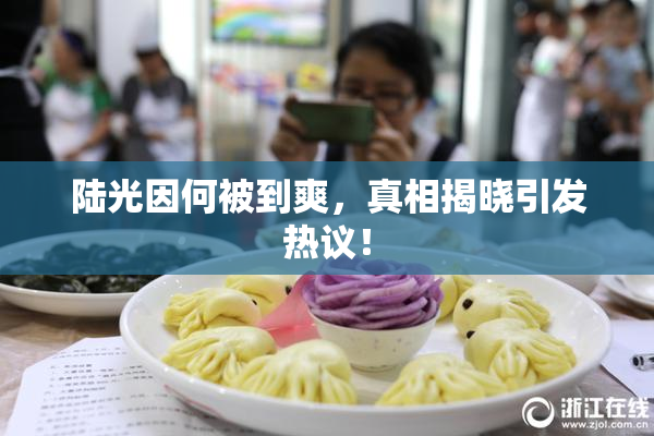 陆光因何被到爽，真相揭晓引发热议！