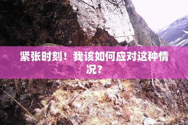 紧张时刻！我该如何应对这种情况？