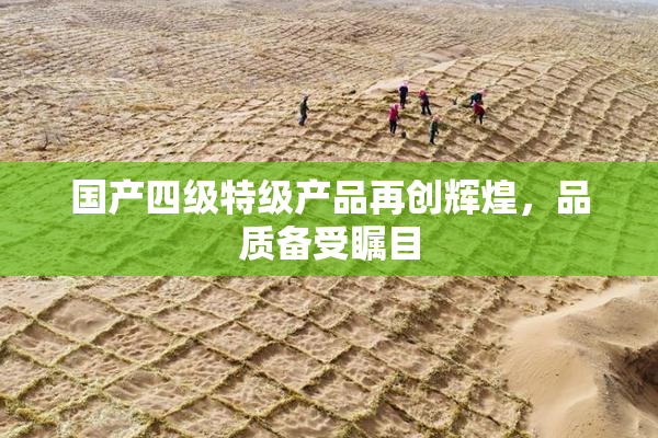 国产四级特级产品再创辉煌，品质备受瞩目