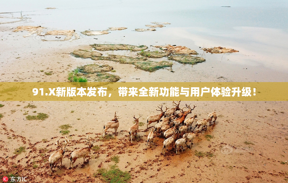 91.X新版本发布，带来全新功能与用户体验升级！