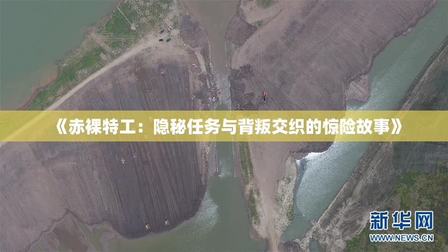 《赤裸特工：隐秘任务与背叛交织的惊险故事》