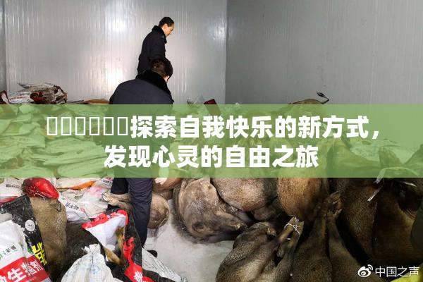 ❌‌❌‌❌‌探索自我快乐的新方式，发现心灵的自由之旅