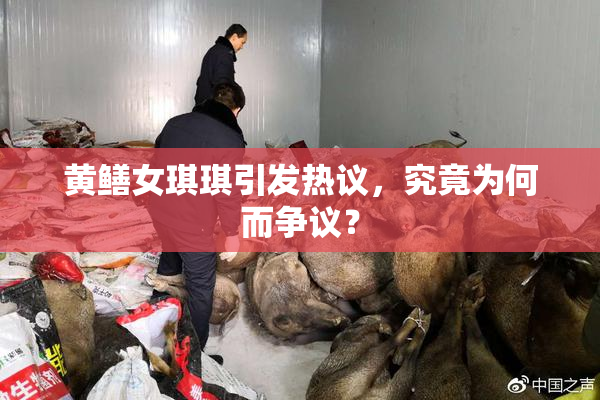 黄鳝女琪琪引发热议，究竟为何而争议？