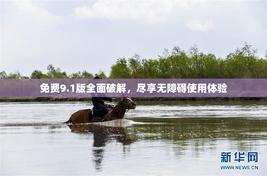 免费9.1版全面破解，尽享无障碍使用体验